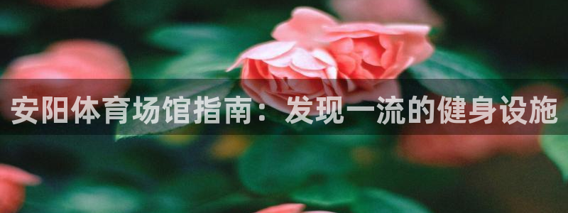 尊龙凯时能提现吗