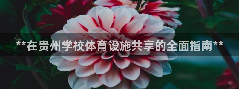 尊龙ag旗舰厅登录 租车app下载