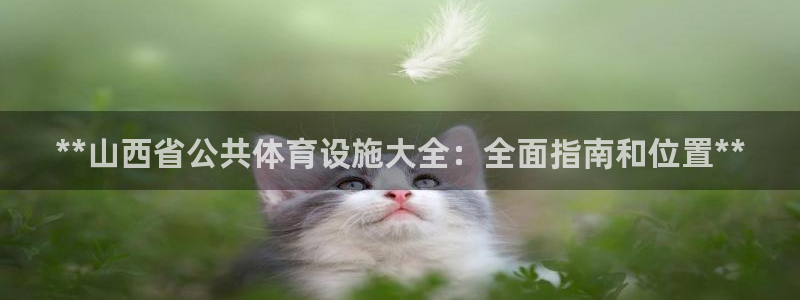 尊龙人生就是博用现金玩一下