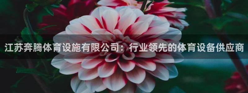 尊龙app|首选agdaohang