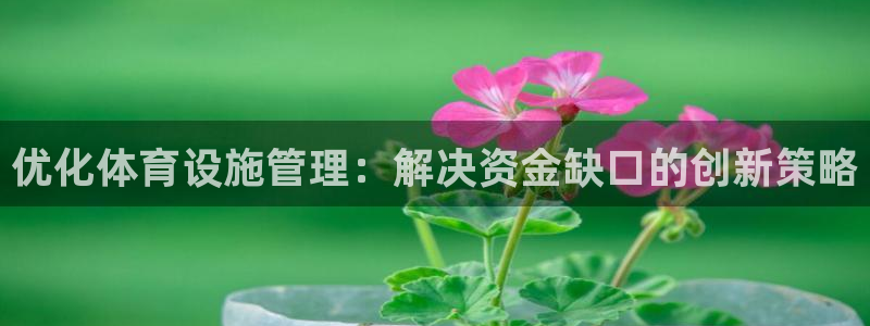 凯时国际最新