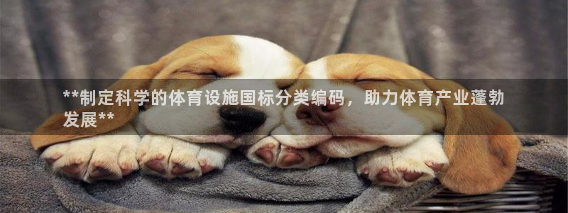 尊龙凯时能做退米么