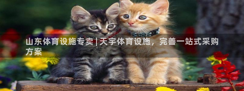 尊龙现在