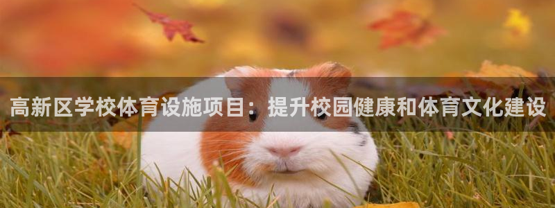 z6尊龙凯时集团