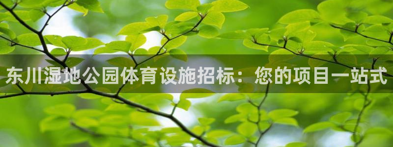 凯时国际最新