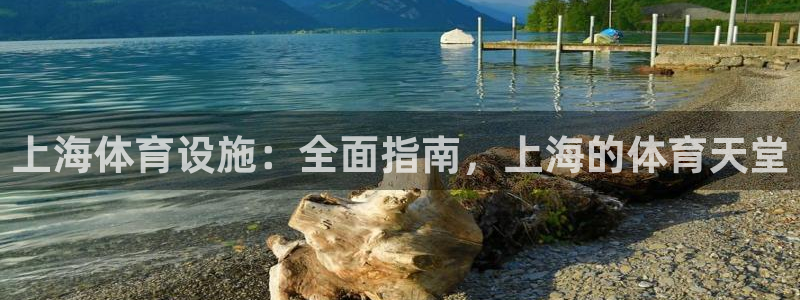 尊龙官网在哪里