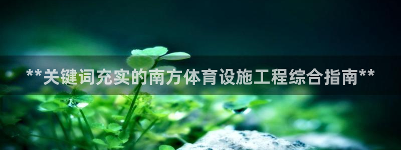尊龙手机版下载