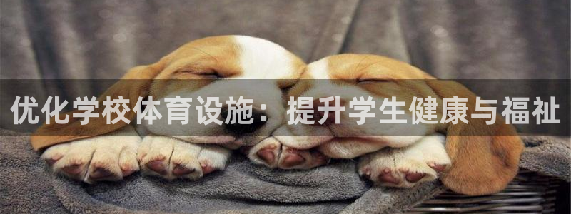 尊龙凯时登入首页
