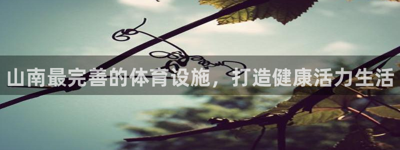 尊龙,人生就是搏