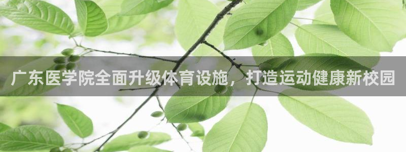 尊龙凯时法拉币