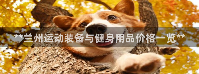 尊龙人生就是博一下首页