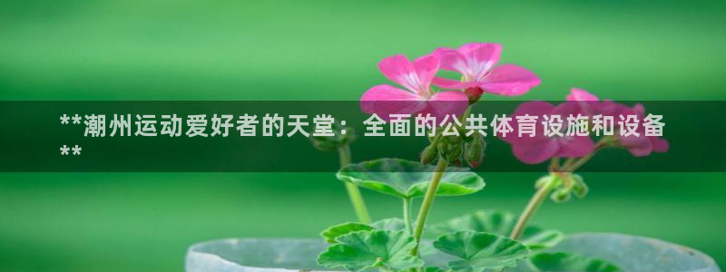 尊龙凯时取款不成功