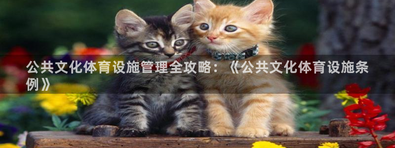 尊龙凯时福米推荐人