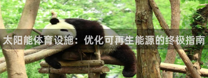 尊龙凯时论坛