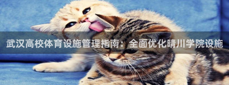 尊龙app怎么样