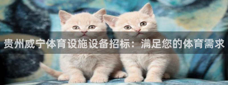 尊龙人生就是博AG旗舰厅