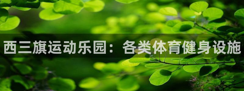 尊龙凯时始人生就是博