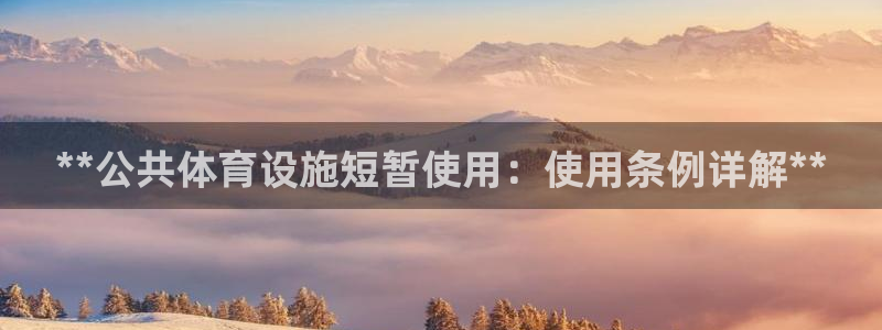 尊龙凯时赞助