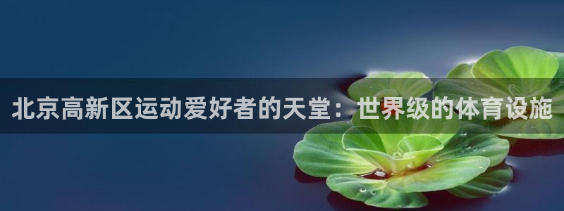 尊龙凯时官网入口