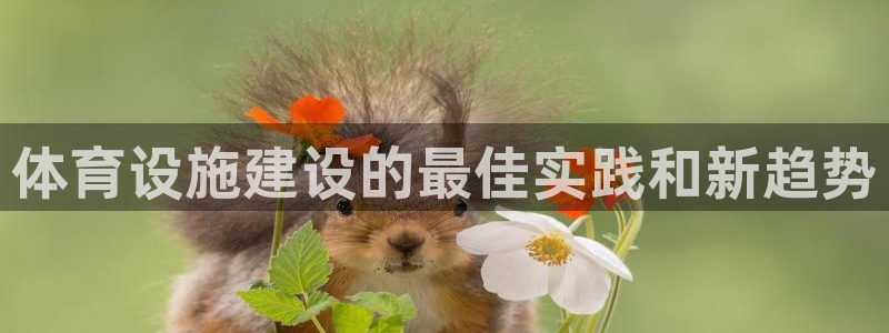 尊龙d88手机app免费下载