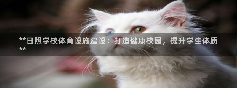 尊龙凯时存款不上分