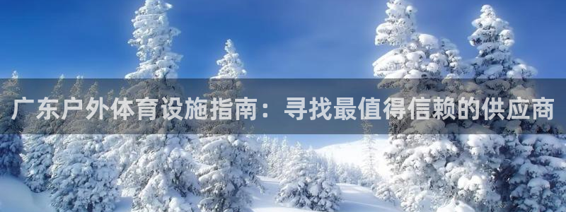尊龙集团有限公司是国企吗
