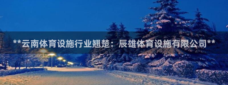 尊龙凯时有限公司