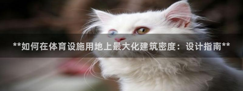 尊龙凯时泰安