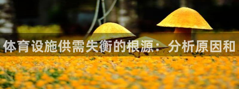 尊龙t400和尊龙t300区别