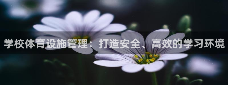 尊龙400