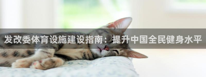 尊龙凯时提不了款