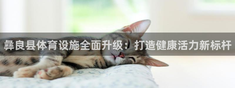 尊龙凯时app官网