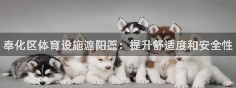尊龙凯时的最新消息