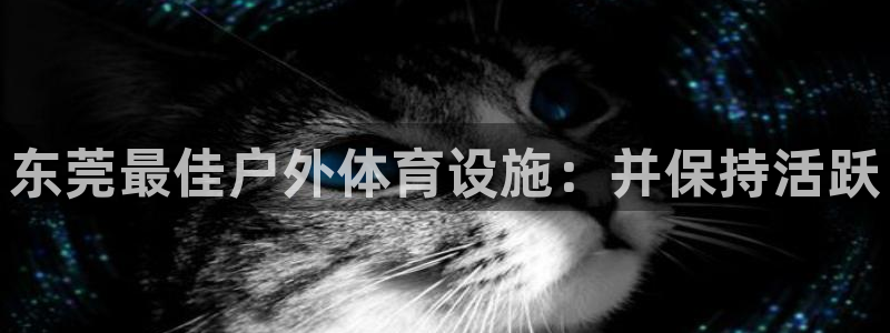 尊龙凯时ag旗舰