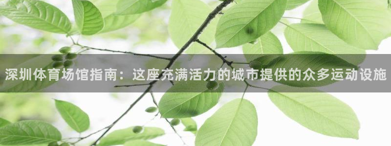 尊龙凯时品牌介绍