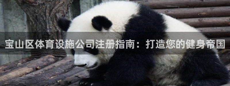 尊龙凯时网娱乐最新版