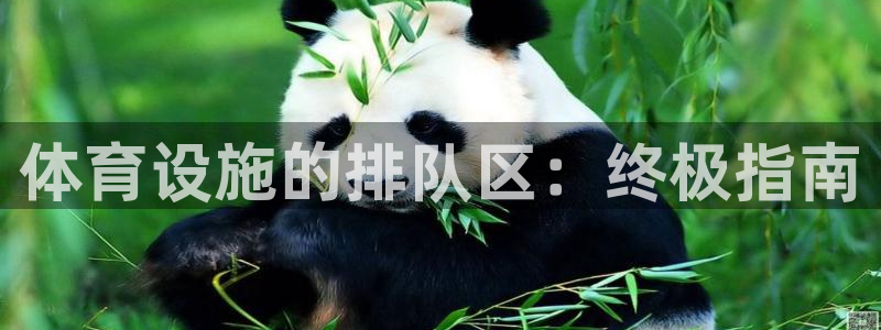 尊龙网址登录官网