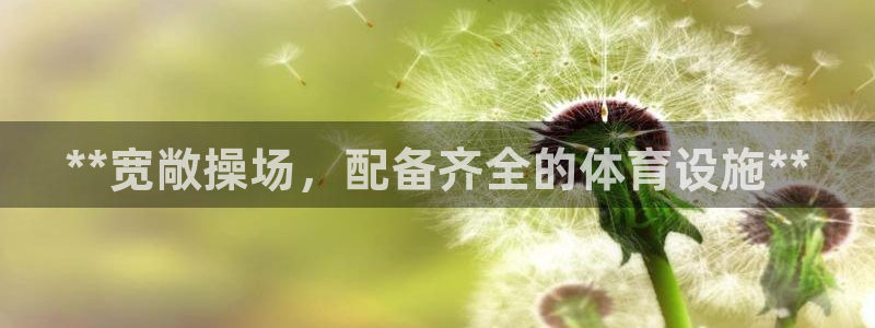 尊龙app登录不了