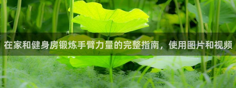 尊龙凯时是哪个国家的