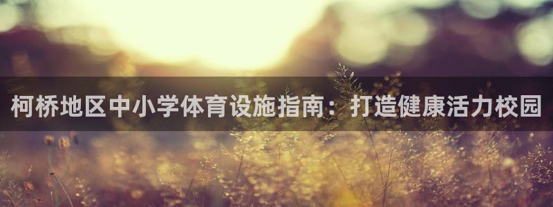 尊龙凯时公司官网