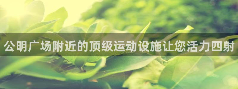 凯时网址多少