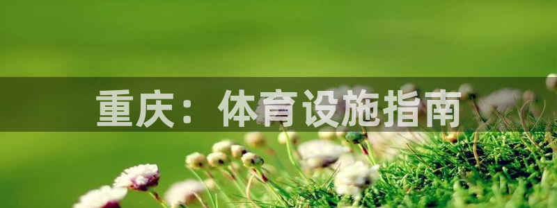 尊龙官方app下载
