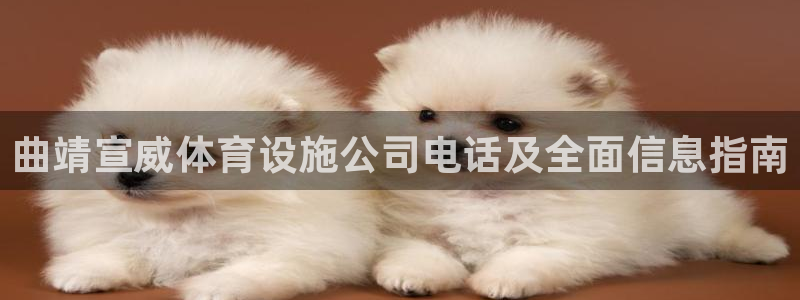 尊龙凯时人生就是搏!平台