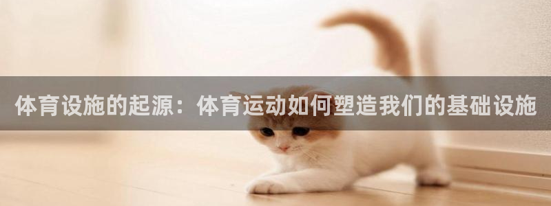 尊龙凯时代理官网入口