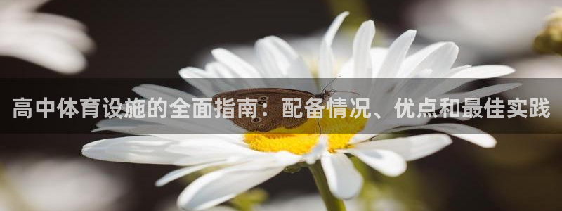 凯时国际app首页登录入口