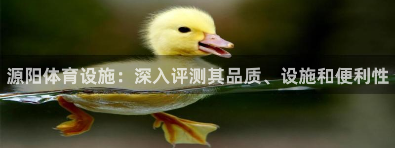 凯时登录界面