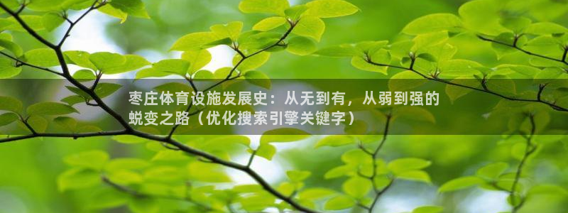 尊龙d88官网新版