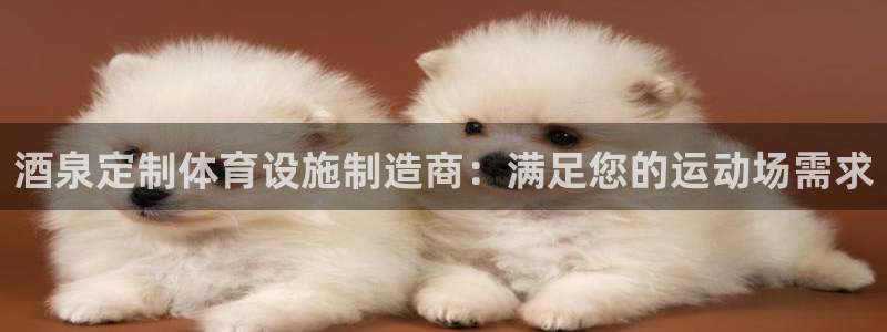 凯时国际官方版