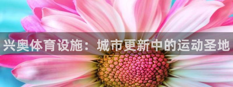 尊龙ag旗舰厅登陆
