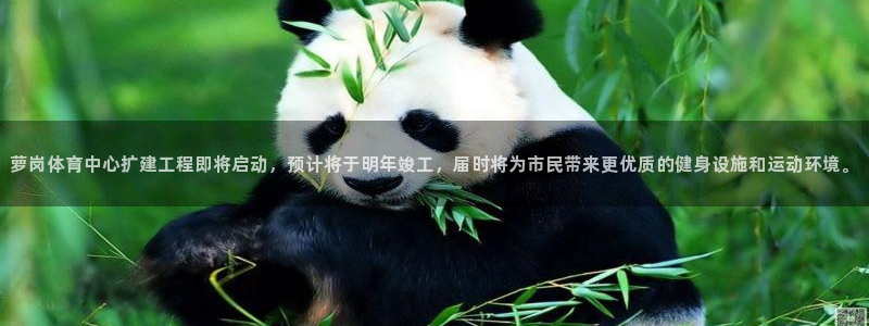 凯时国际平台有人赢吗